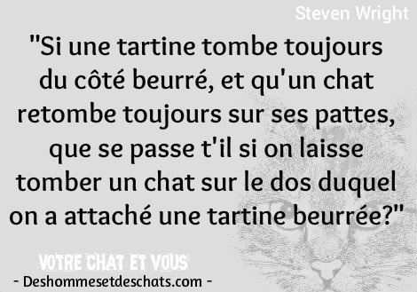 Humour Animaux Adage Chat Image Chaton Dicton Citations Animaux Image Marrante Image Rigolote Photo Marrante Photo Comique Image Chat Photo Animaux Foto De Chat Des Hommes Et Des Chats