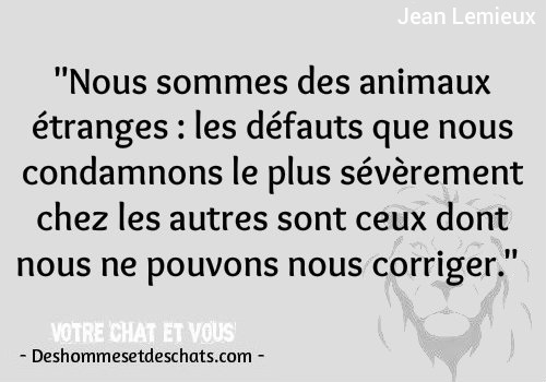 Photos Insolites Citation Drole Citations Animaux Les Proverbes Image Humoristique Photo Comique Petite Phrase Drole Photo Humoristqiue Proverbe Marrant Adage Des Hommes Et Des Chats