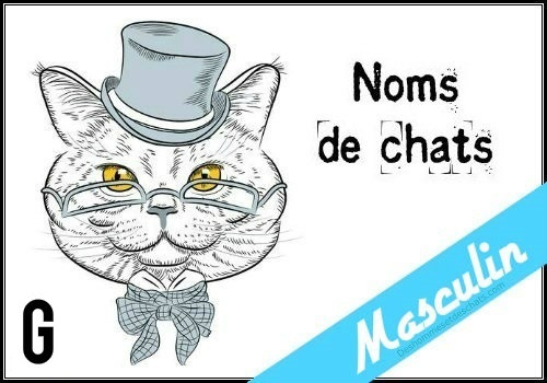 Idee Nom De Chat Idee De Nom De Chat Prenom De Chats Nom Pour Un Chaton Nom Original Chat Nom Chat Male Original Prenoms De Chat Nom Pour Un Chat Male Photo