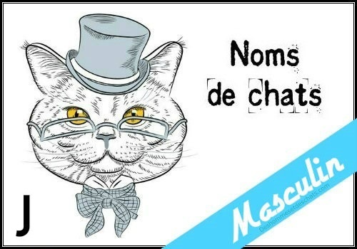 Liste Des Noms En J Pour Un Chat Male Des Hommes Et Des Chats