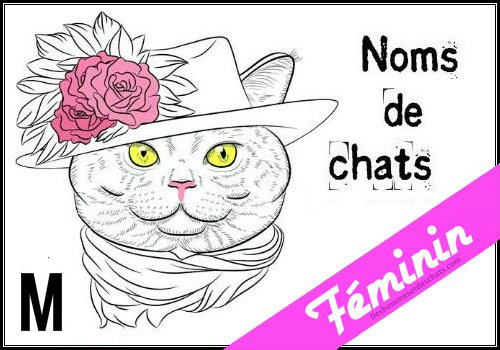 Liste Des Noms En M Pour Un Chat Femelle Des Hommes Et Des Chats