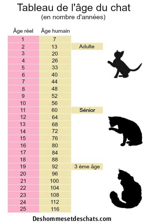 Calcul Age Du Chat Age De Chat Age Des Chats Age D Un Chat Age Chat Homme Age Chat Humain Tableau Age Chat Age Chat Homme Comment Calculer L Age D Un Chat Correspondance Age Chat Des Hommes Et Des Chats