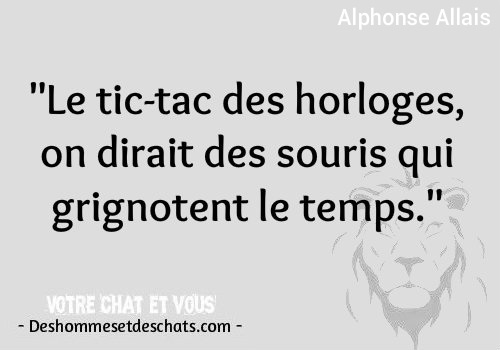 Image Avec Citation Pour Photo Belles Images Avec Citations Citation Cool Citation Avec Image Proverbe Image Citation Respect Image Dicton Phrase De Vie Des Hommes Et Des Chats