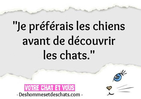 Photos Insolites Humour Images Citation Rigolote Proverbe Humoristique Phrase Humour Phrase Drole Et Courte Expression D Animaux Citation Celebre Foto De Chat Des Hommes Et Des Chats