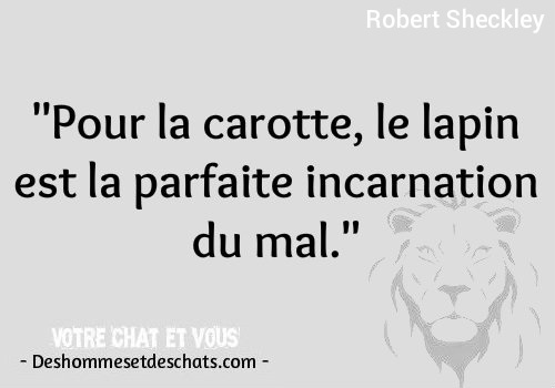 Phrase Drole Expression Drole Petite Phrase Drole Proverbe Humour Proverbe Marrant Photos Insolites Droles Phrase D Amour Drole D Image Comique Image Rigolote Des Hommes Et Des Chats