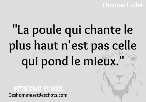 Phrase Humour Citation Drole Photos Insolites Image Rigolote Humour Images Image Comique Citation Avec Image Citation Pour Photo Image Citation En Image Mignonne Des Hommes Et Des Chats