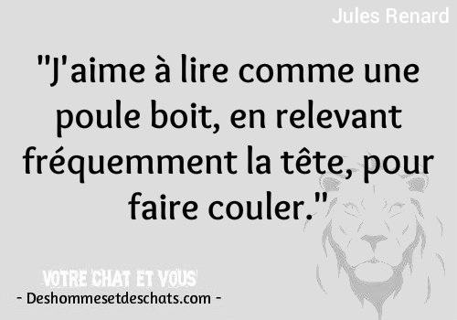 Proverbe Humour Proverbe Marrant Photos Insolites Droles Phrase D Amour Drole D Image Comique Image Rigolote Citation Marrante Phrase Rigolote Citation Rigolote Des Hommes Et Des Chats