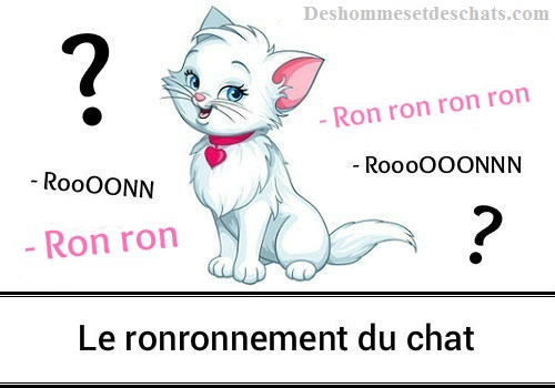 Le Ronronnement Chat Ronronne Ronron Chat Qui Ronronne Pourquoi Les Chats Ronronnent Ronronnement Du Chat Pourquoi Un Chat Ronronne Mon Chat Ronronnement Chaton Des Hommes Et Des Chats