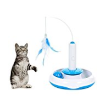 Image De Chaton Jeux Pour Chat Animalerie Jeux De Chat